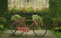 Romantisches Fahrrad
